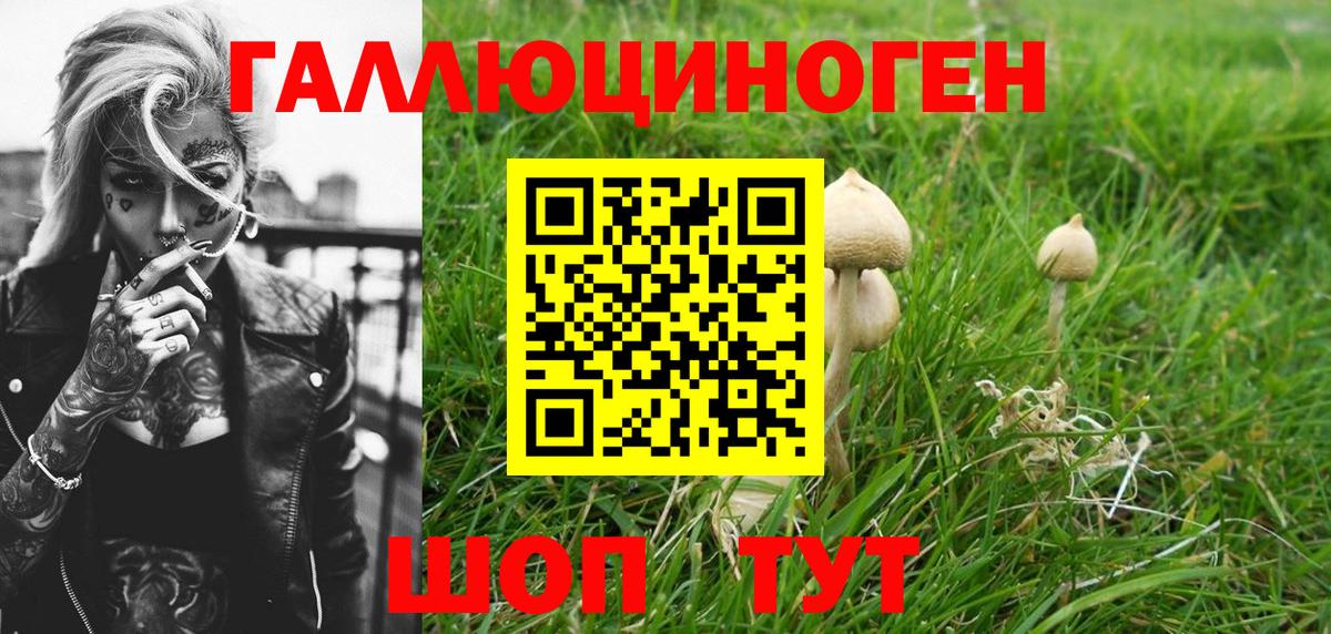 Губаха  Галлюциногенные грибы GOLDEN TEACHER  Псилоцибиновые грибы мухоморы  Вход с VPN 