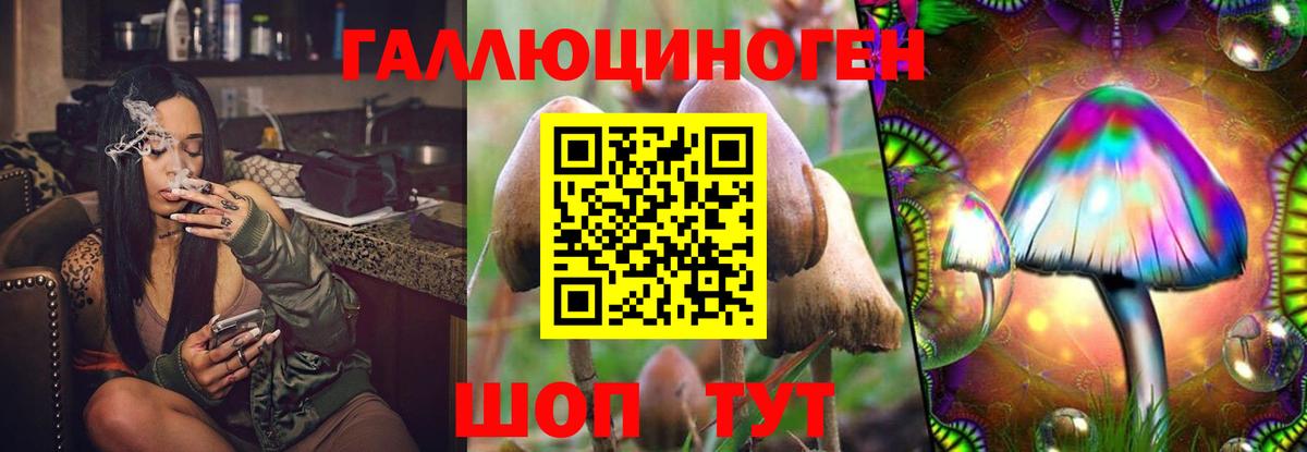 Галлюциногенные грибы прущие грибы Губаха